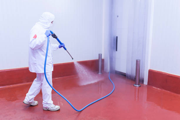 Best Spring Cleaning  in South Plainfield, NJ